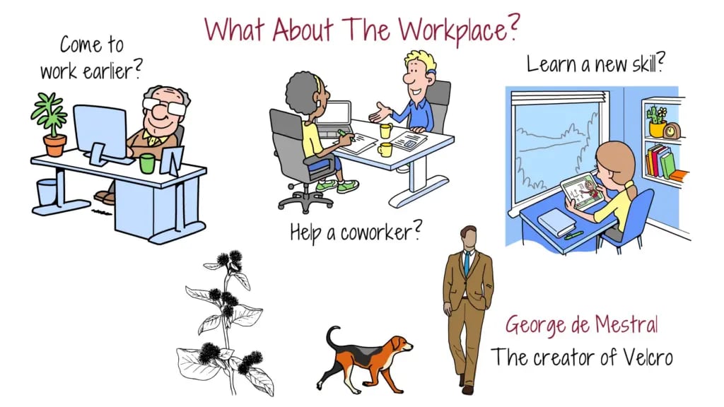 what-about-the-workplace