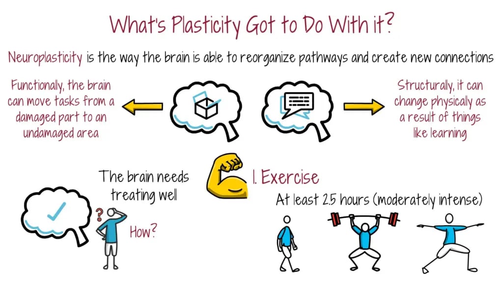 whats-plasticity-got-to-do-with-it