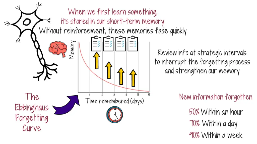 the-ebbinghaus-forgetting-curve